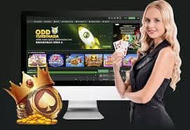 73 bet
